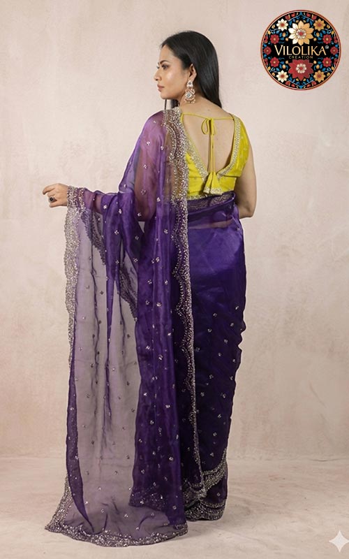 Tissue Organza Saree Manufacturers