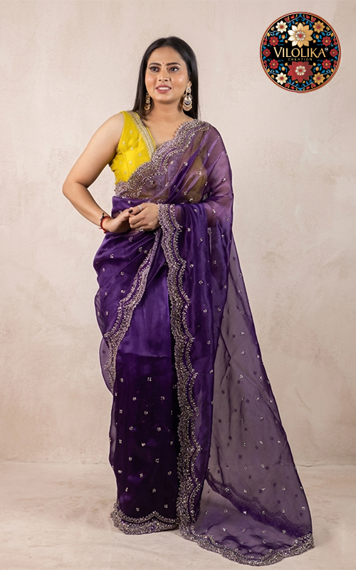 Premium Tissue Saree